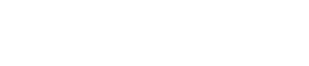 ViewPoint Italy Logo